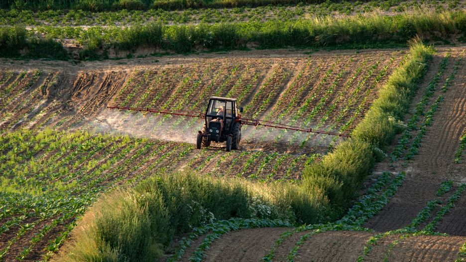 oprysk, rolnictwo, rolnik, traktorzysta, rola, pola, uprawy, rolnictwa, farma, obszarów wiejskich, agrar, krajobraz, machina, farmer, kraina, maszyneria, countryside, plon, pracy, niebo, ziemia uprawna, charakter, zbiorów, lato, kraj