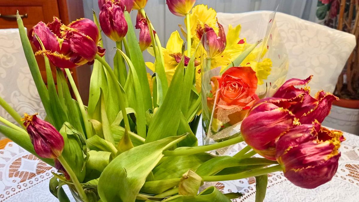 Tak kwiaty w wazonie nie postoją za długo 