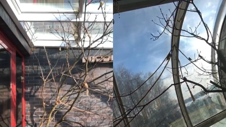 Tak mieszkają Józef Wojciechowski i Patrycja Tuchlińska