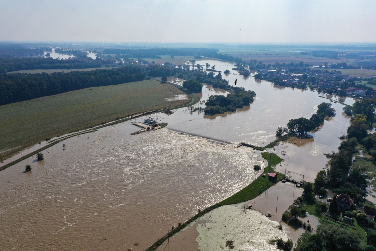 Pilny apel Lasów Państwowych. "Może być bardzo niebezpiecznie"