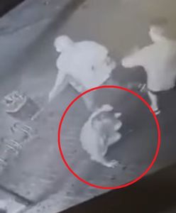 Radom. Brutalne pobicie ekspedientki. Sprawca ukrył się za granicą