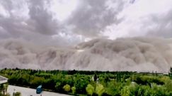 Burza piaskowa pochłonęła miasto. Nagranie z Chin podbiło sieć
