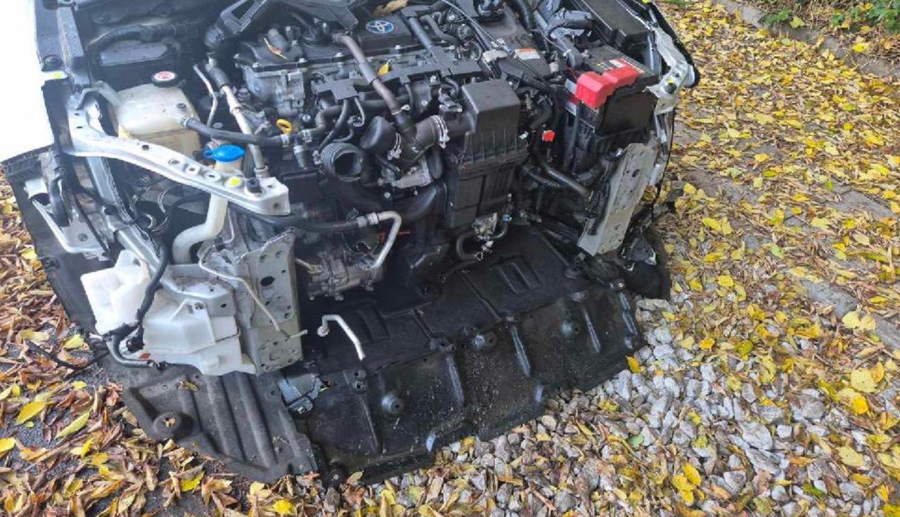 Warszawianka przeżyła szok. "Sprawa niewiarygodna". Prosi o pomoc