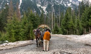Fakirzy zacierają ręce. Elektryczne wozy póki co nie wjadą do TPN