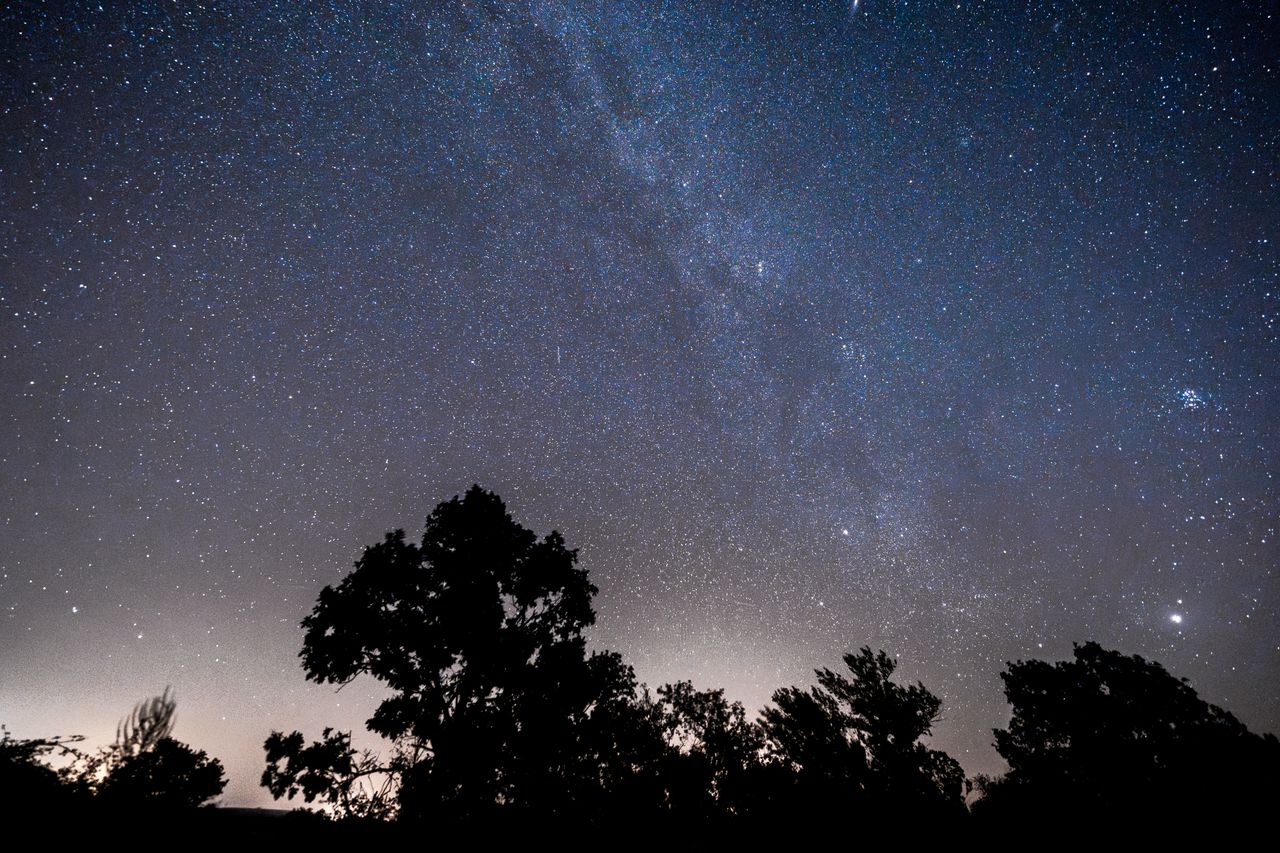 Night sky spectacle: Perseid meteor shower peaks with 100 meteors per hour