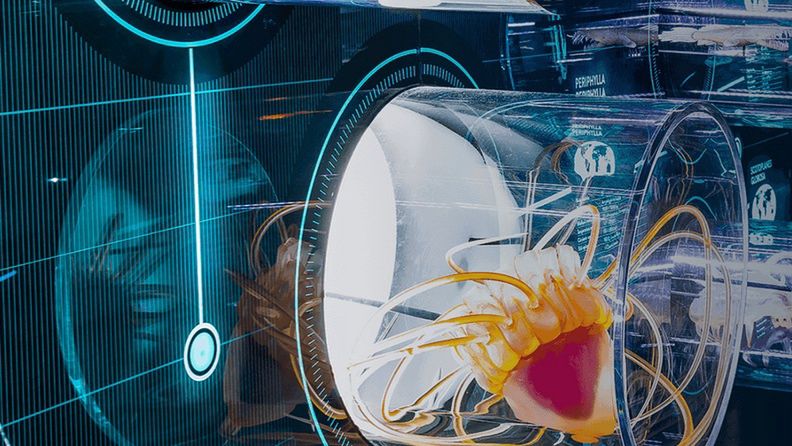 Fragment instalacji w Hydropolis