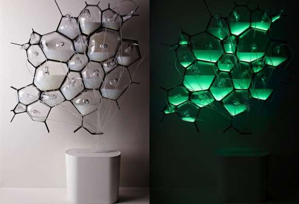Organiczne światło Philipsa (Fot. Gizmag.com)