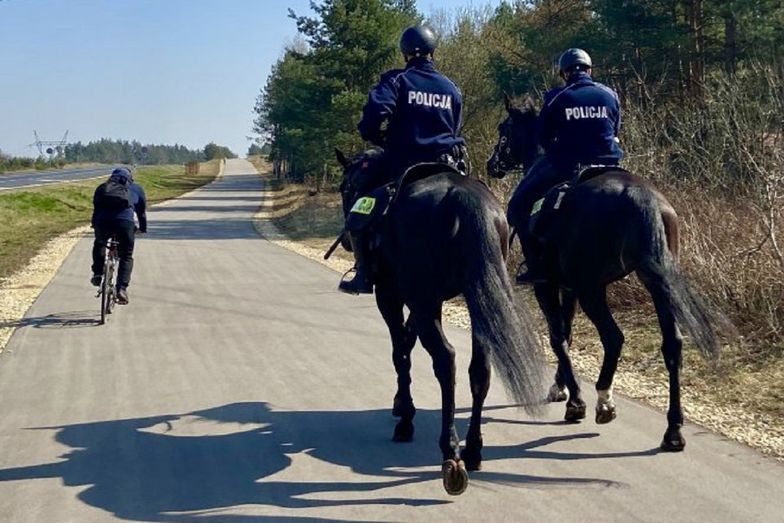 Policja na koniach. Niecodzienny pościg w Częstochowie