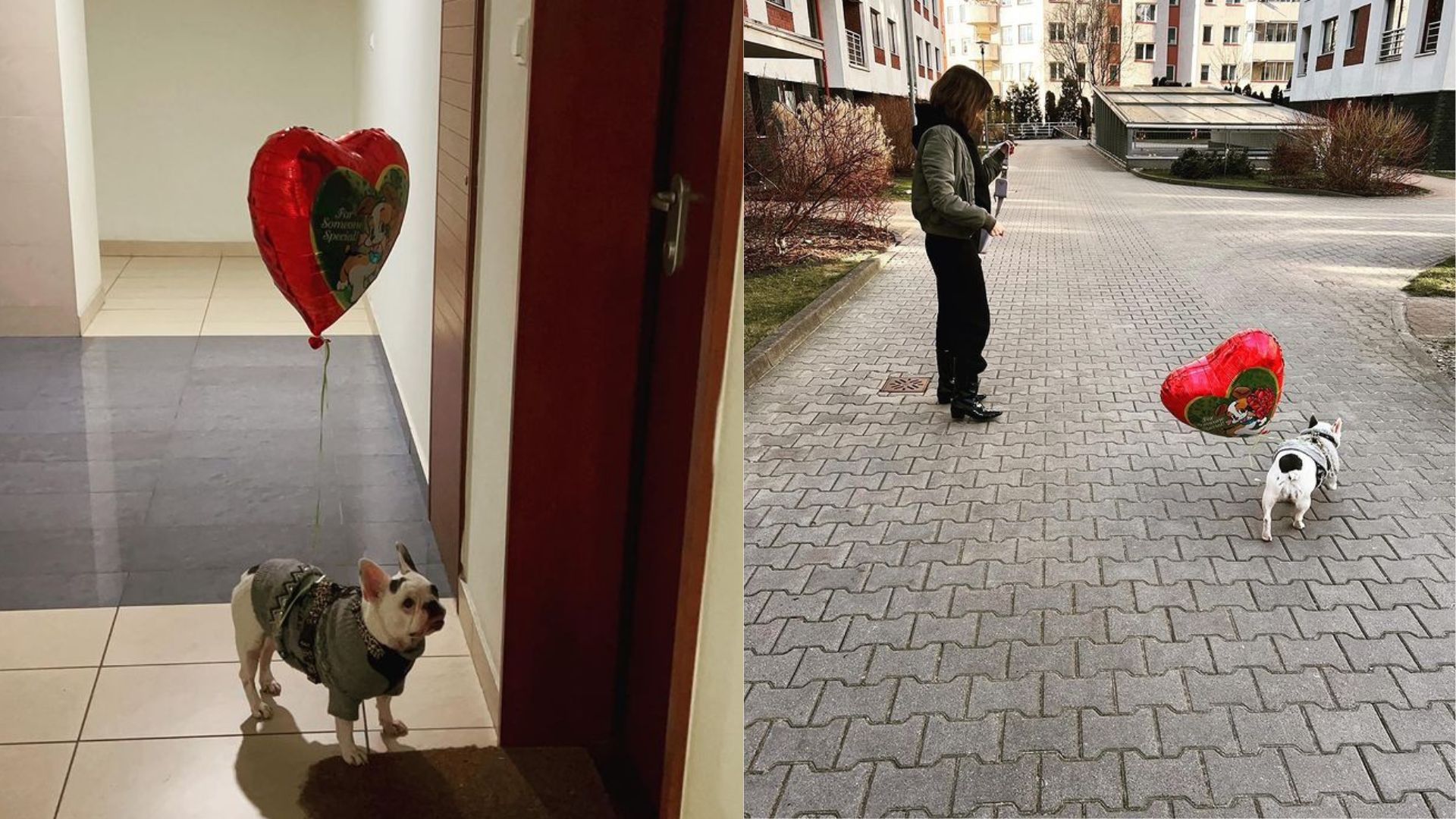 Jak mieszka Olga Bołądź? 