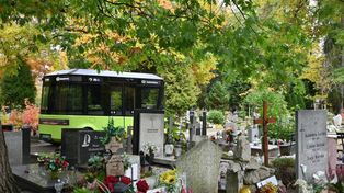 Wrocław: Minibus ruszył w trasę. Jeździ po największym cmentarzu