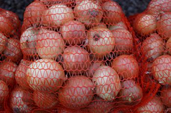Jaka jest aktualna cena cebuli w połowie września 2025 r.?