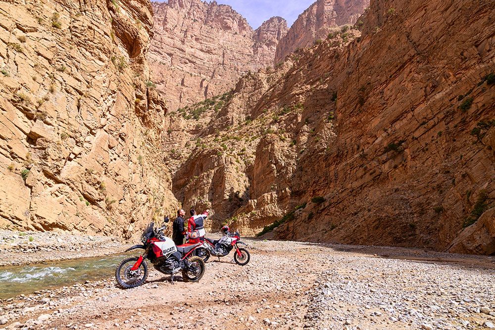 Ducati DesertX Rally