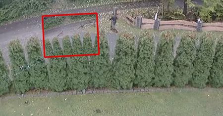 Psy ruszyły za 14-latkiem. "Chciało mi się płakać z przerażenia"