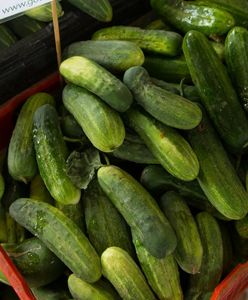 Co się dzieje na rynku ogórków? Ceny jak sprzed lat