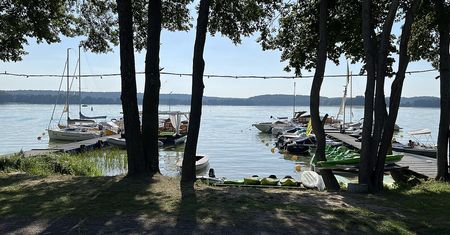 Sinice na jeziorze Ukiel. Wprowadzono całkowity zakaz kąpieli