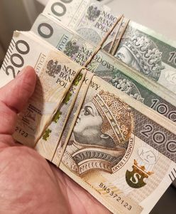 Piramida finansowa. Oszukali setki osób. Mózg grupy przyznał się do winy