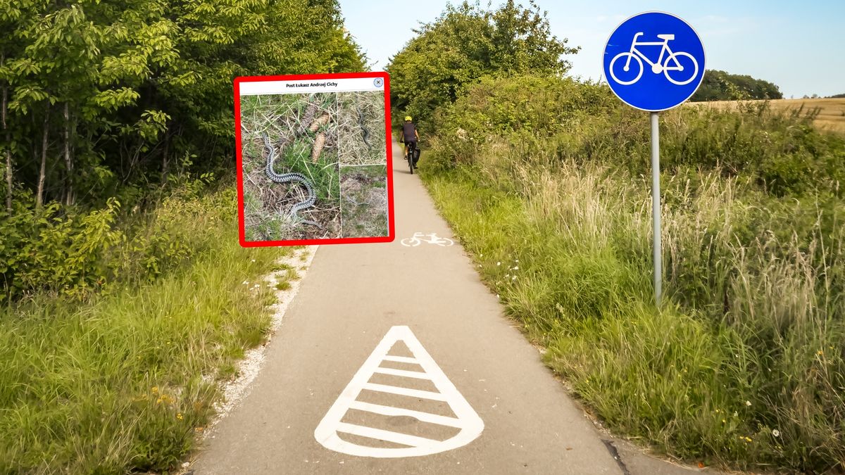 Niepokojące doniesienia z Psar Polskich.