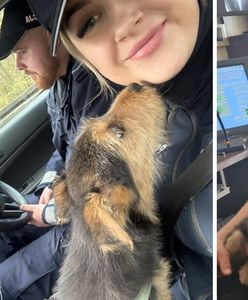 Szokujące nagranie. Policja odebrała dzieciom psa. Mieli powód