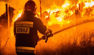 Duży pożar w Łodzi. Ogień w hali z zabawkami