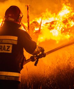 Duży pożar w Łodzi. Ogień w hali z zabawkami