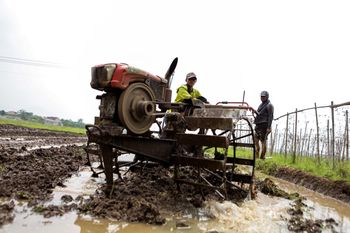 Paliwo znika z rynku. Zagrożone są globalne dostawy żywności