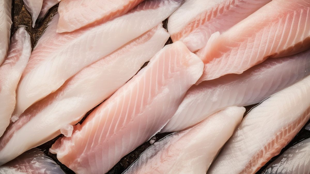 Sprzedawcy często polecają tę rybę. Jeśli chcesz uniknąć kłopotów, nie kupuj pod żadnym pozorem.