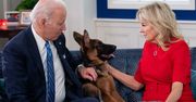 Poruszenie w Białym Domu. Pies Bidena znów zaatakował