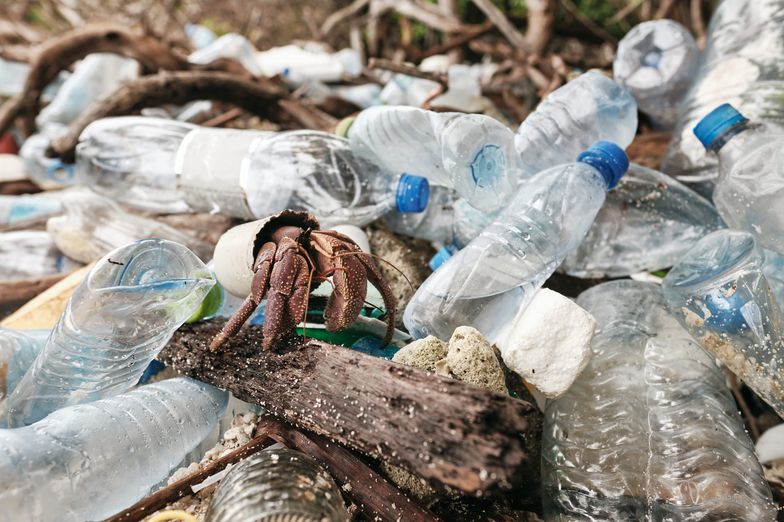 Przełomowy sposób na plastik w oceanie. Naukowcy nakarmią nim bakterie