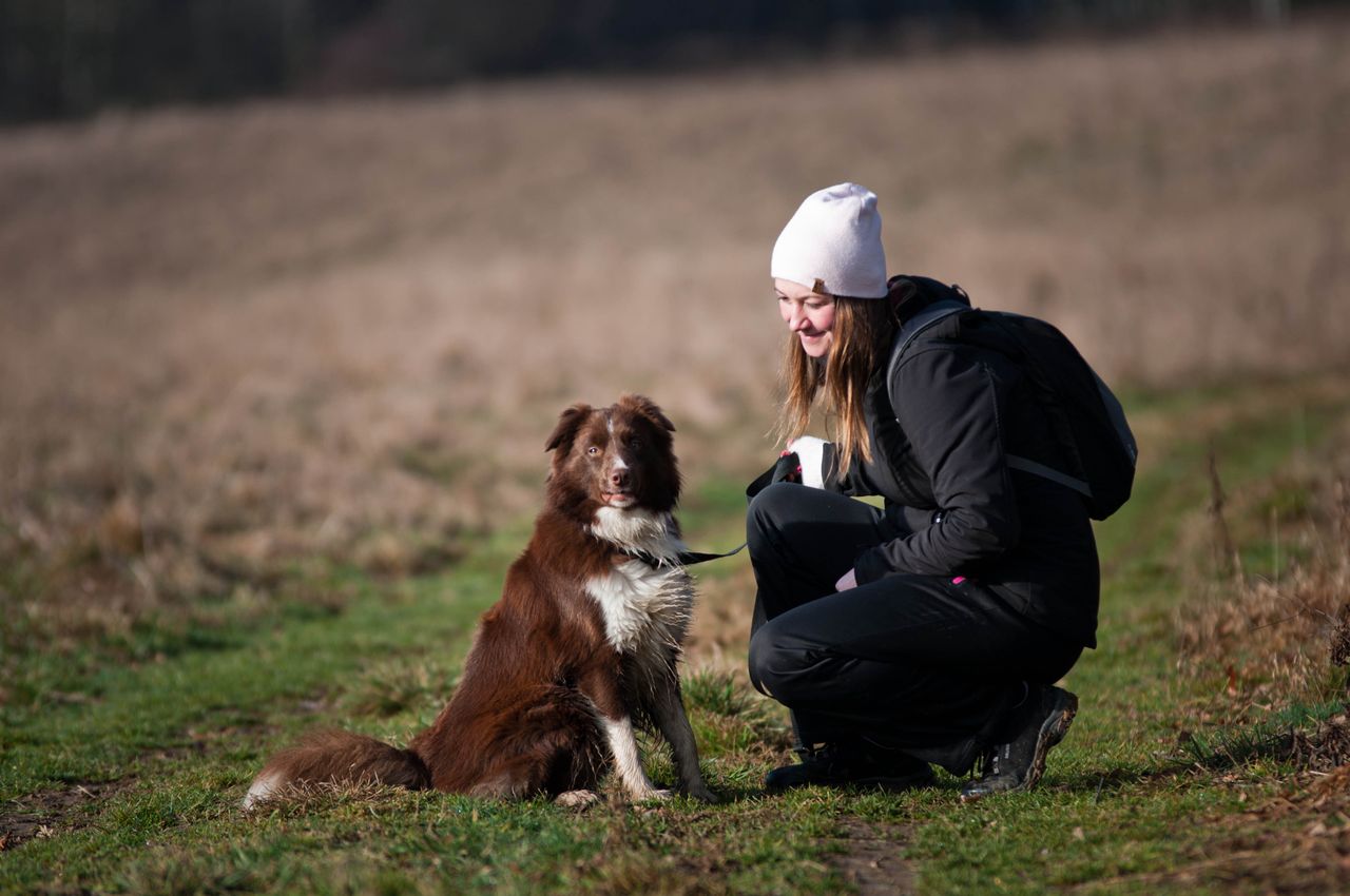 Łódź: Z psem do szkoły. Nietypowe lekcje biologii w liceum