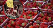 Szokujące ceny truskawek w Zakopanem. "Górale powariowali"