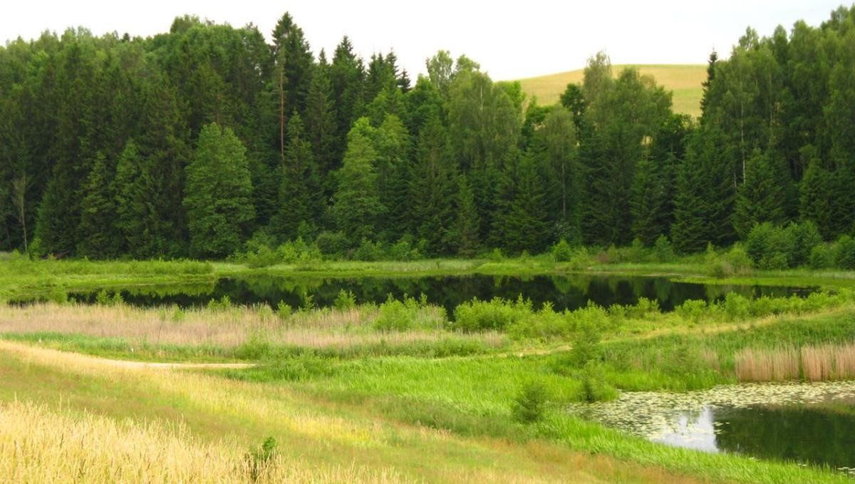Gdy natura się zbuntowała. Tajemniczy wybuch jeziora Dobellus