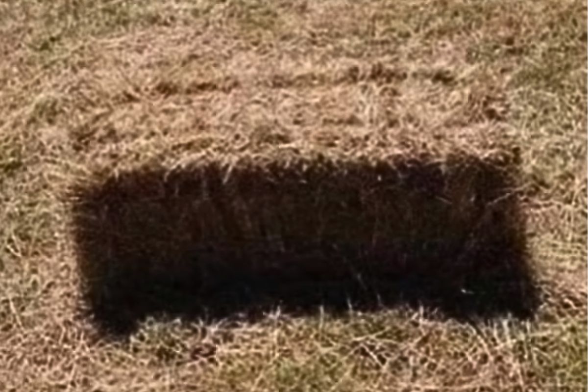 TikTok's optical conundrum. Hay bale or hole?