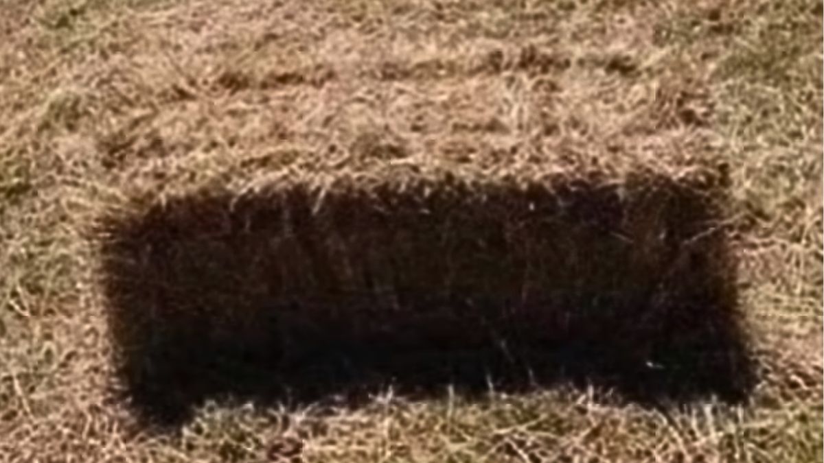 Co widzisz na obrazku?