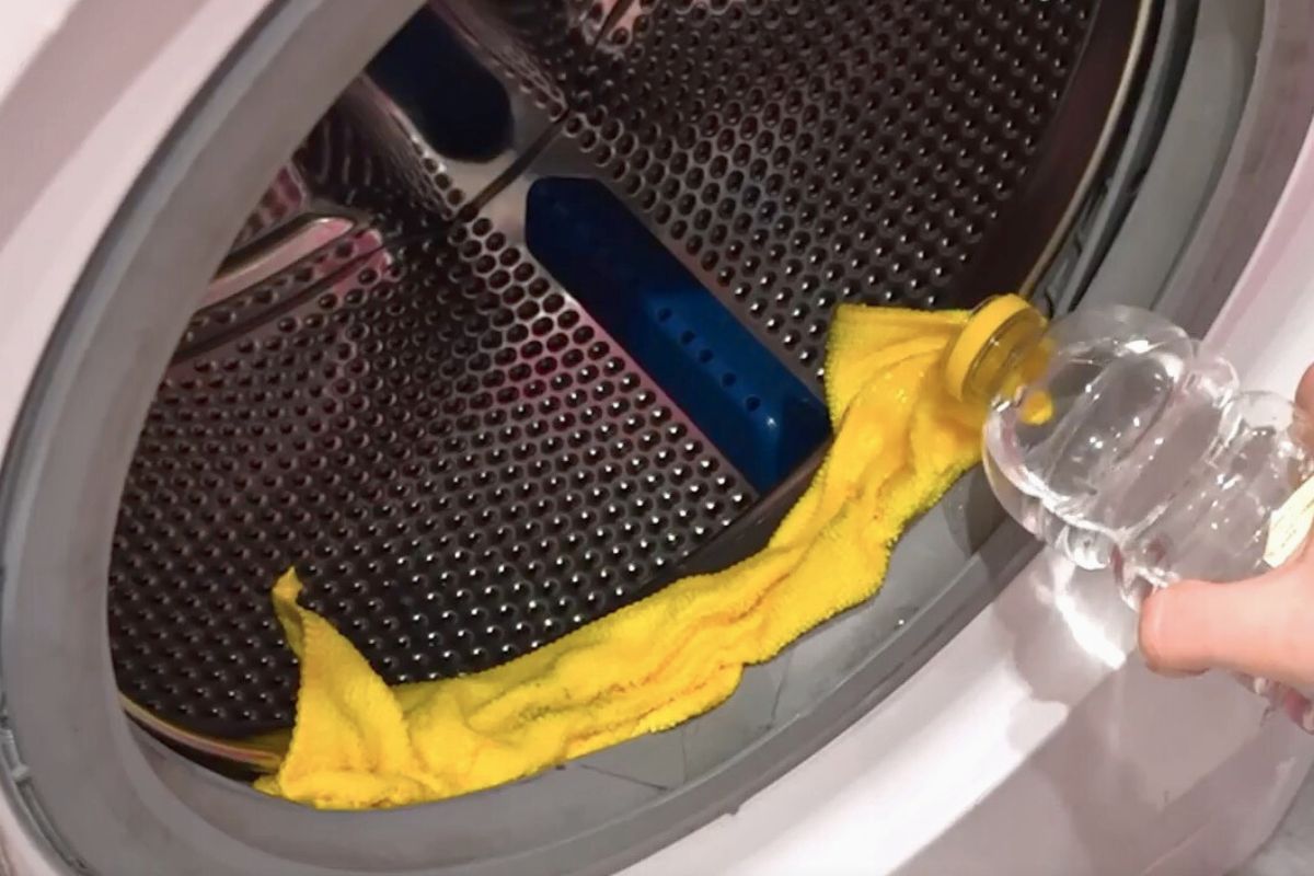 Pozbycie się pleśni i brudu z gumy w pralce jest banalne