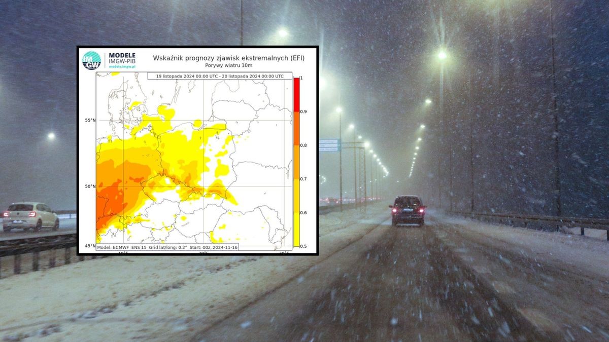 Alerty IMGW. Silny wiatr na północy i południu Polski
