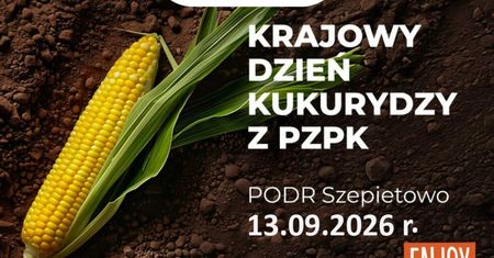 144 odmiany kukurydzy w jednym miejscu. Krajowy Dzień Kukurydzy już 13 września w Szepietowie