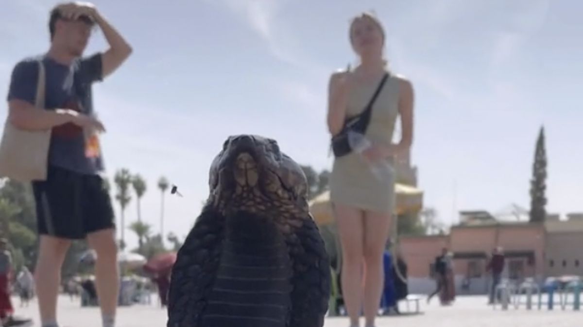 Turystka musiała zapłacić za nagranie węża 