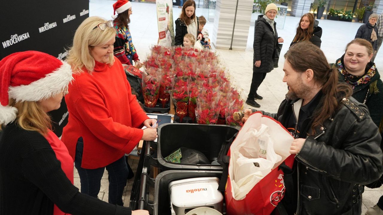 Wrocław: Mikołajkowa akcja "Drzewko za surowce wtórne"