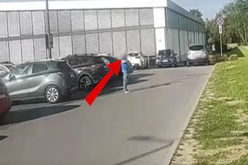 Zostawił psa w rozgrzanym aucie i poszedł na zakupy? "Zrobiono ze mnie bandytę"
