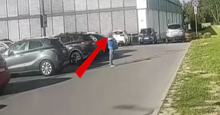 Zostawił psa w rozgrzanym aucie i poszedł na zakupy? "Zrobiono ze mnie bandytę"