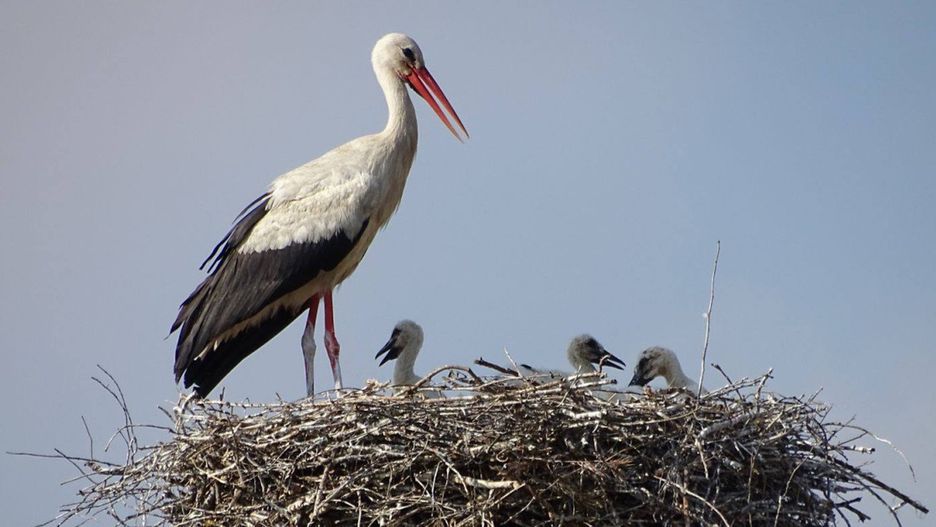 Foto: Ostróda Flesz/Łukasz Matuszka