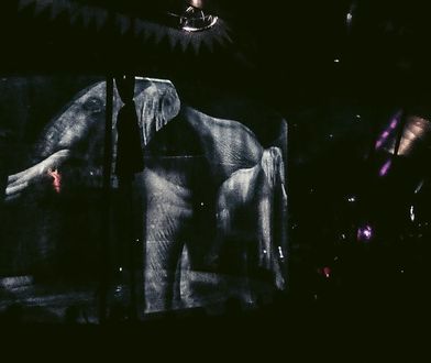 Śląsk. Niezły cyrk…pierwszy taki w Polsce!