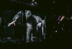 Śląsk. Niezły cyrk…pierwszy taki w Polsce!