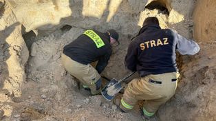 Krasnystaw: Pies wszedł do lisiej nory. Interweniowali strażacy