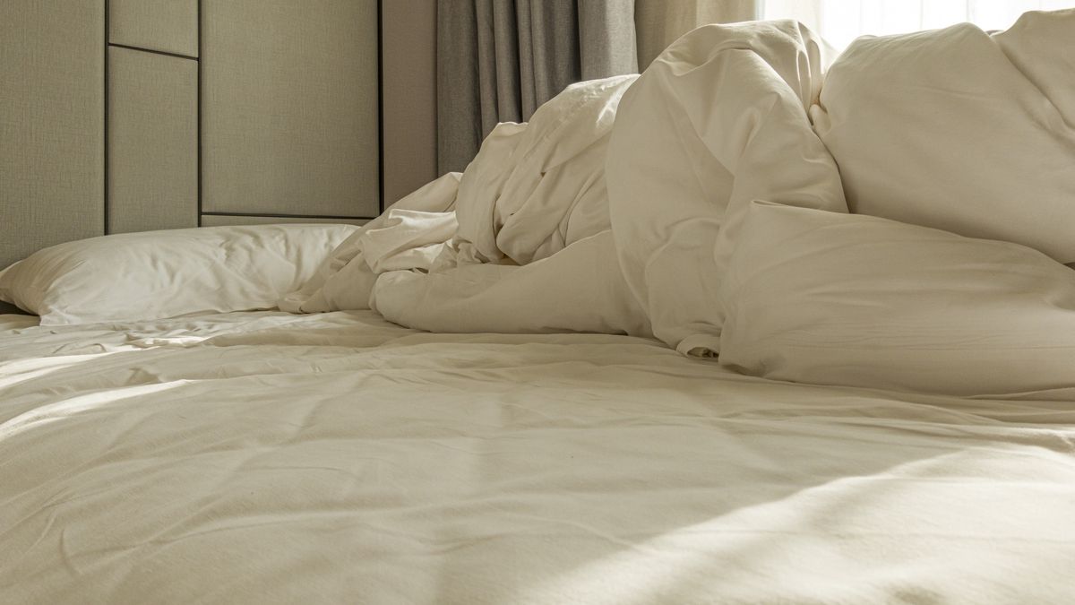 Messy White Sheet On BedJackal Pan