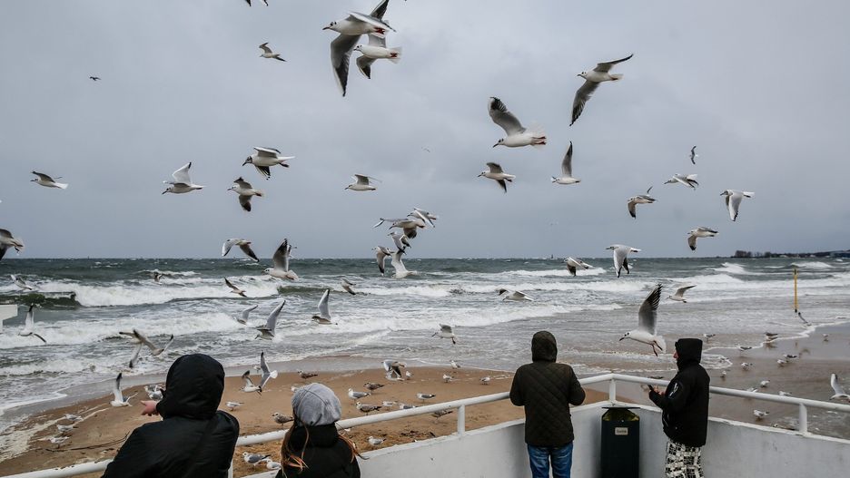 Silny wiatr w Gdańsku-Brzeźnie. Zdj. ilustracyjne