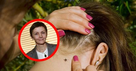 GIS ostrzega, już są aktywne. Przenoszą groźne choroby. "Mamy zgłoszenia ukąszeń"