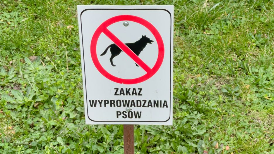 Prawnik wyjaśnił przepisy dotyczące wyprowadzania psów