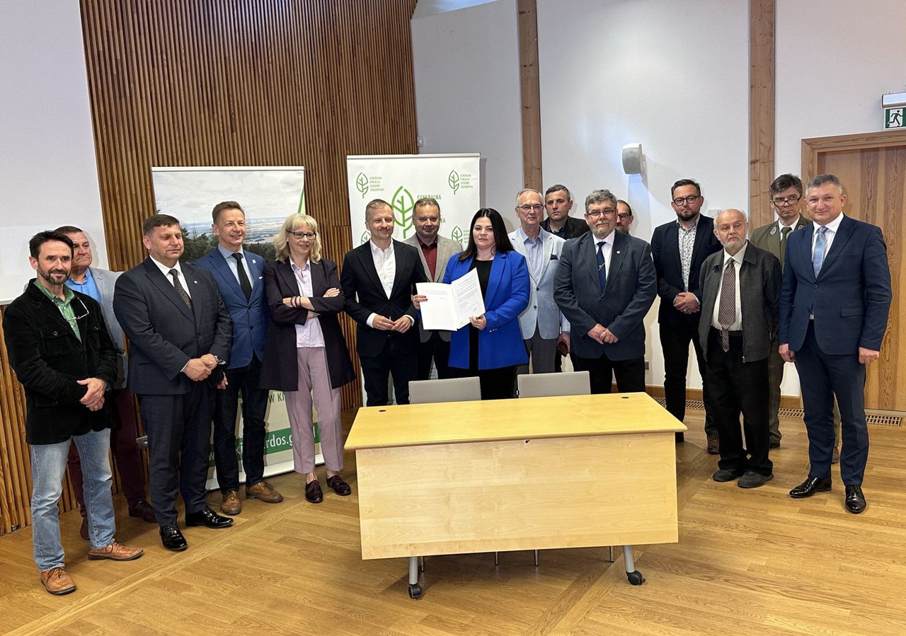 Bliżyńskie Lasy Naturalne. W regionie świętokrzyskim powstaje rezerwat przyrody