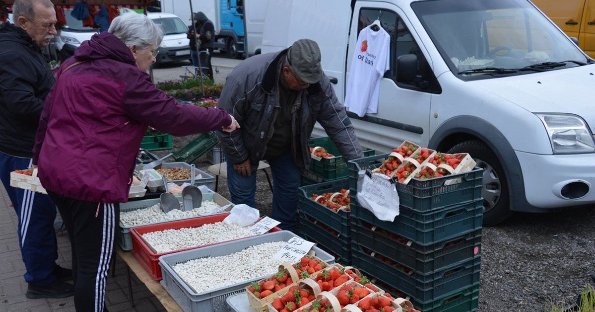 Coraz więcej polskich truskawek na targu w Stalowej Woli. W piątek duży ruch, mimo chłodu. Zobacz zdjęcia oraz ceny warzyw i owoców